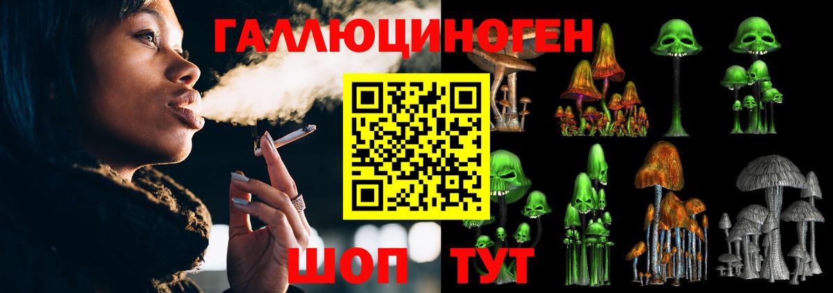 Галлюциногенные грибы GOLDEN TEACHER Северск