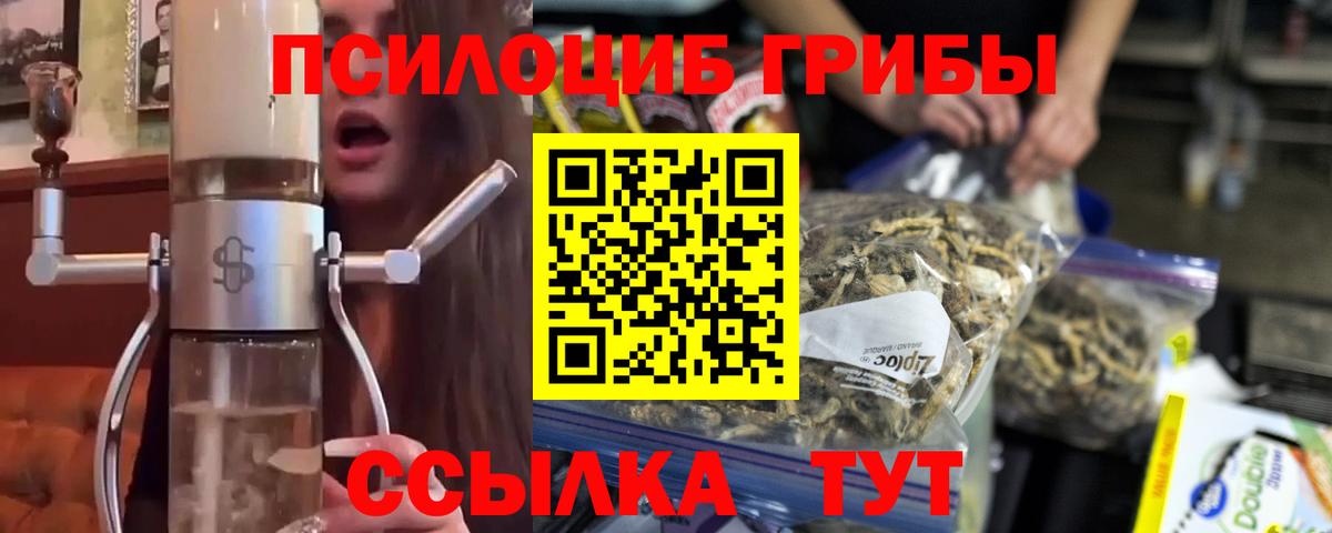 Псилоцибиновые грибы мухоморы  Вход с VPN  Северск 